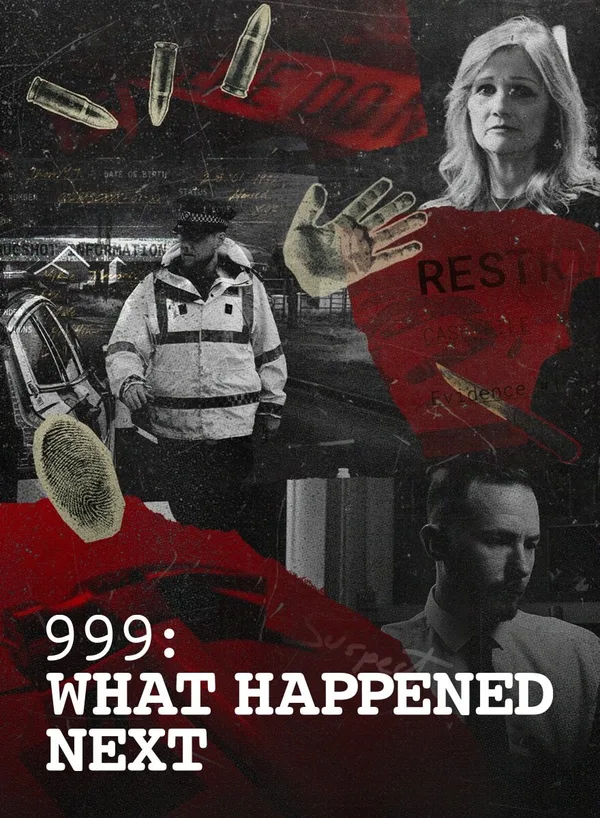 999: What Happened Next poster