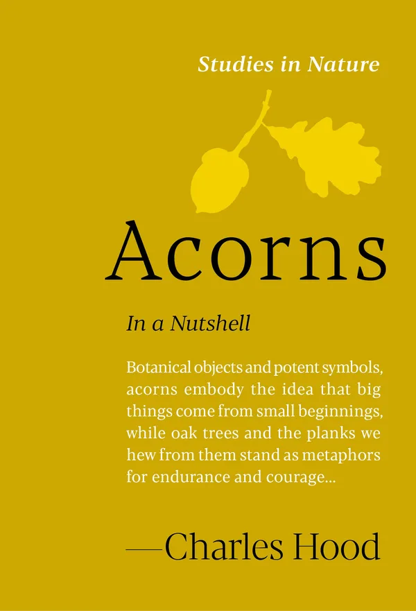 Acorns poster