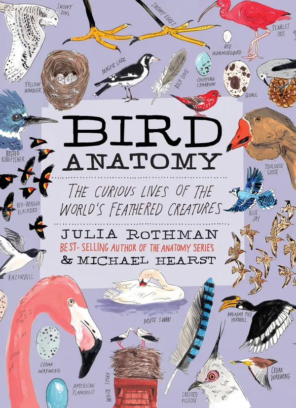 Bird Anatomy poster