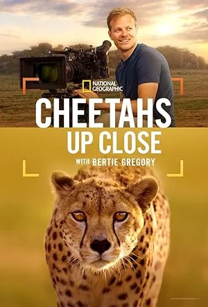 Cheetahs Up Close with Bertie Gregory poster