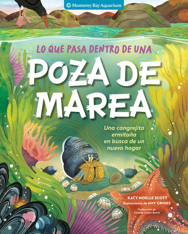 Lo que pasa dentro de una poza de marea poster