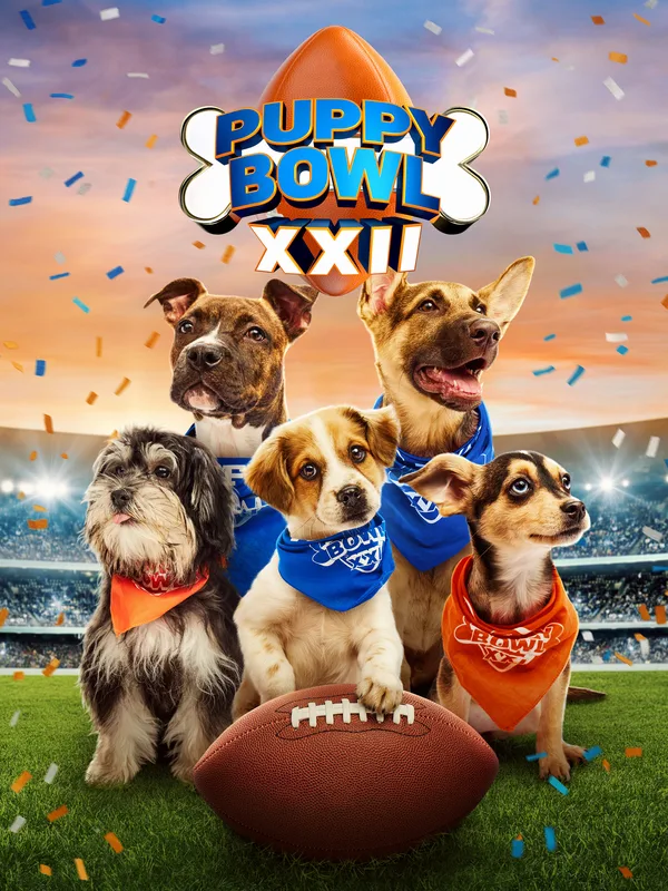 Puppy Bowl poster