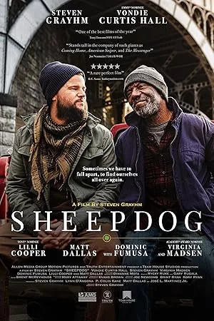 Sheepdog poster